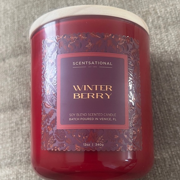 Scentsational Other - Scentsational NWOT Winter Berry Soy Blend 1 Wick Candle